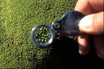 S.O.S Earth & Blue Planet 