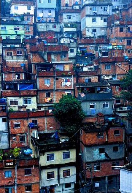 Rocinha' s smile