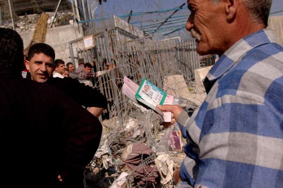 Palestina's children