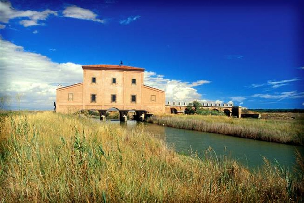 Summer in Castiglione della Pescaia