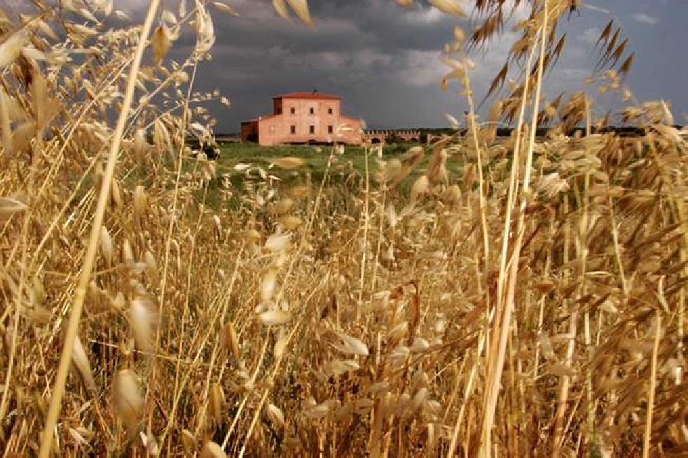 Summer in Castiglione della Pescaia