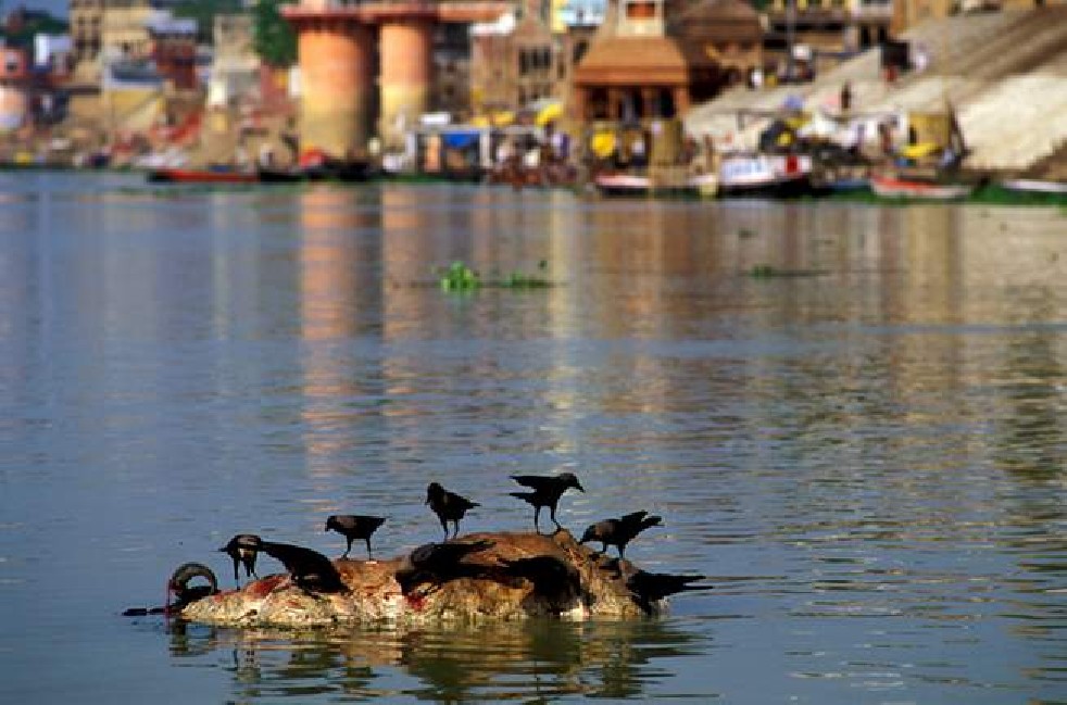 Mahant-Ji, The Saviour of the Ganges 