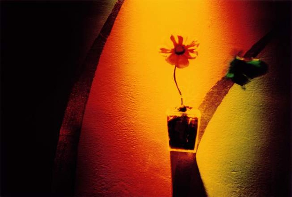 Urban Colours