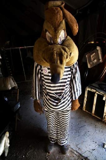 Circus
