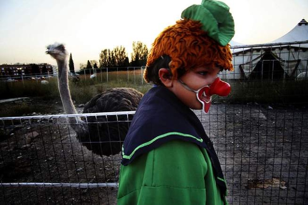Circus