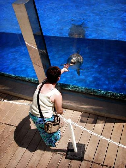 Oceanografic