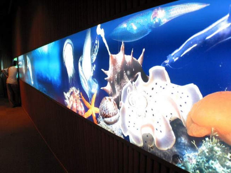 Oceanografic