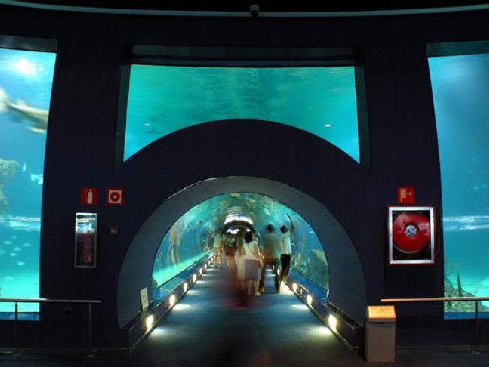 Oceanografic