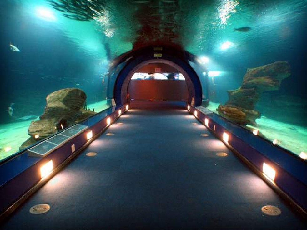 Oceanografic