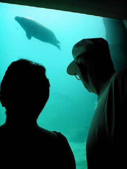 Oceanografic