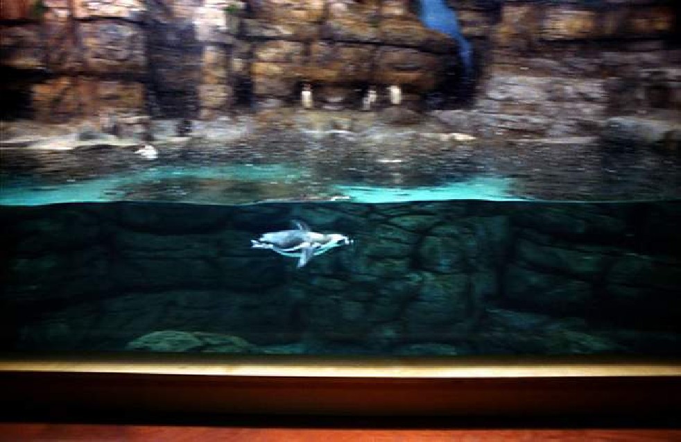 Oceanografic