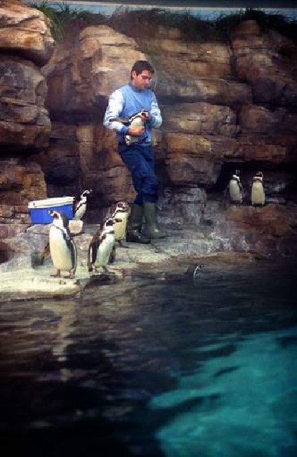 Oceanografic