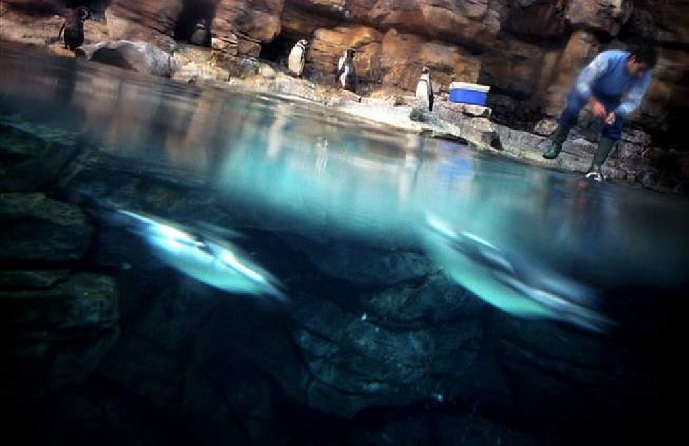 Oceanografic