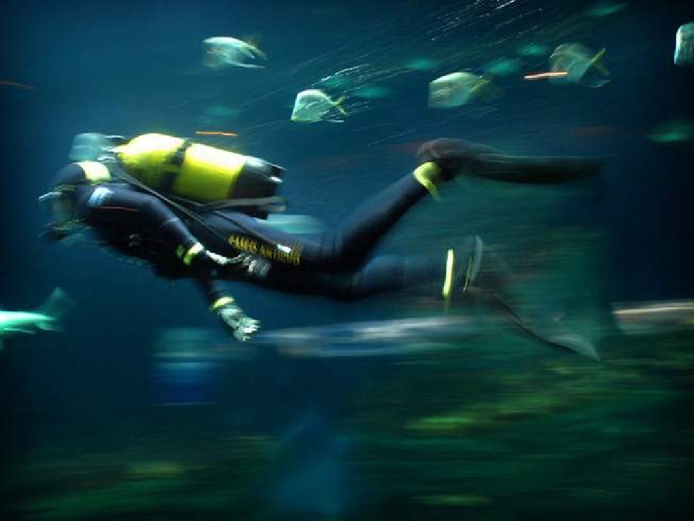 Oceanografic