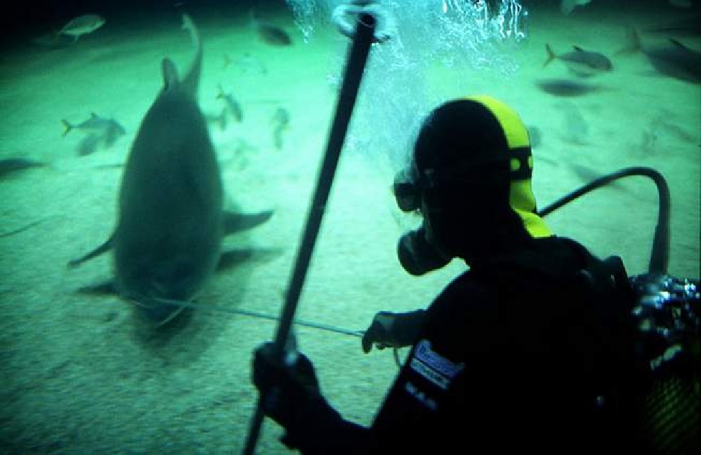 Oceanografic