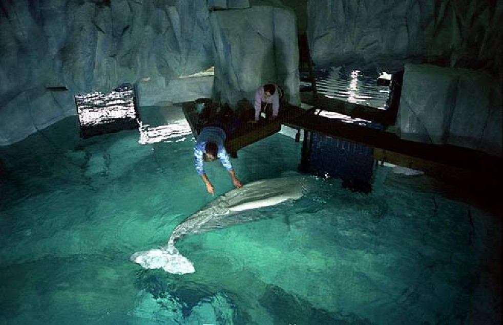 Oceanografic