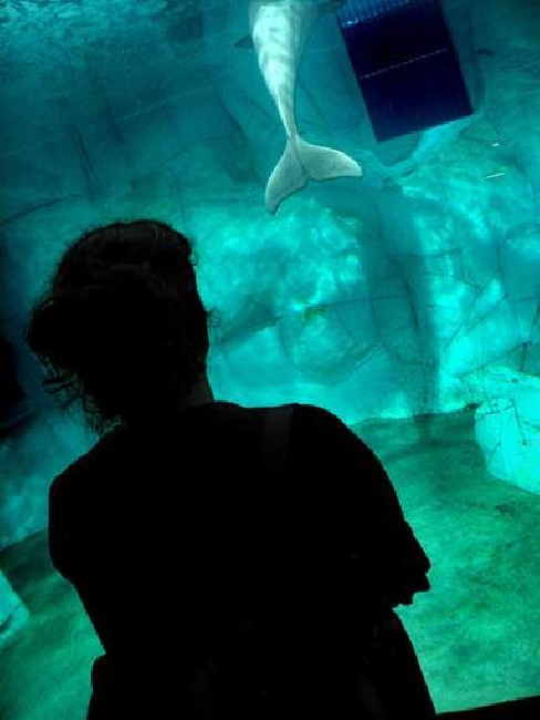 Oceanografic