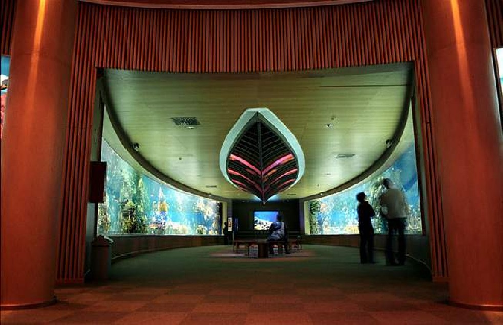 Oceanografic 