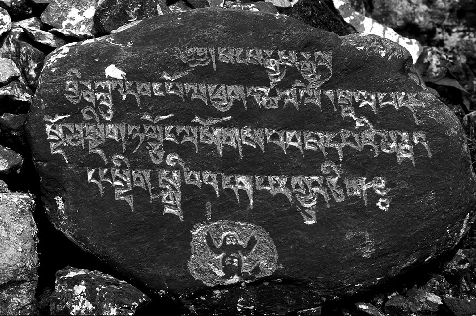 Tibetan Diaspora Monks 