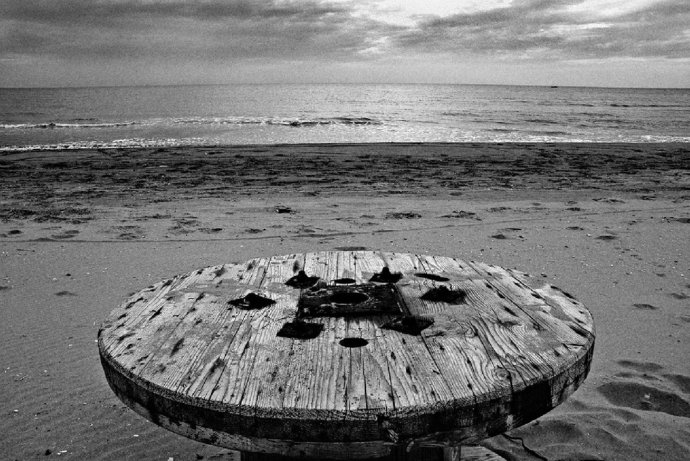 New Wild Sea 