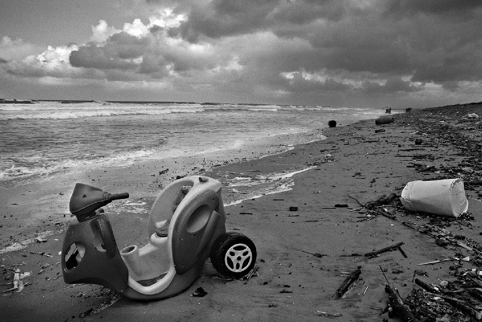 New Wild Sea 
