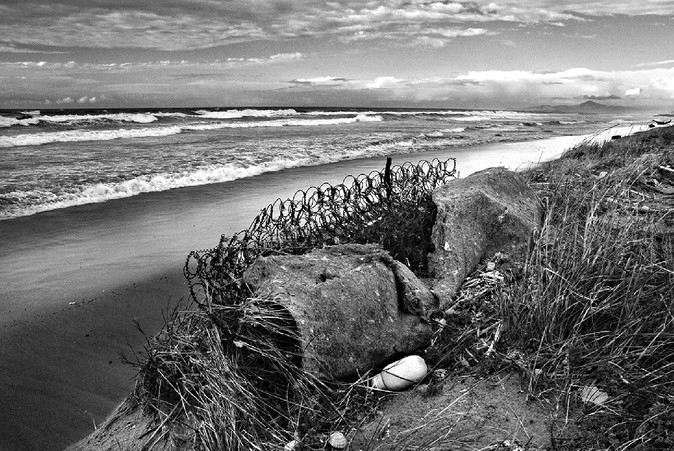 New Wild Sea 