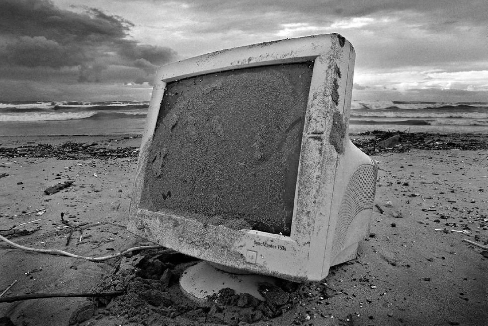 New Wild Sea 