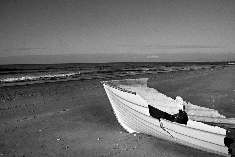 New Wild Sea 