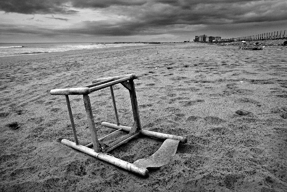 New Wild Sea 