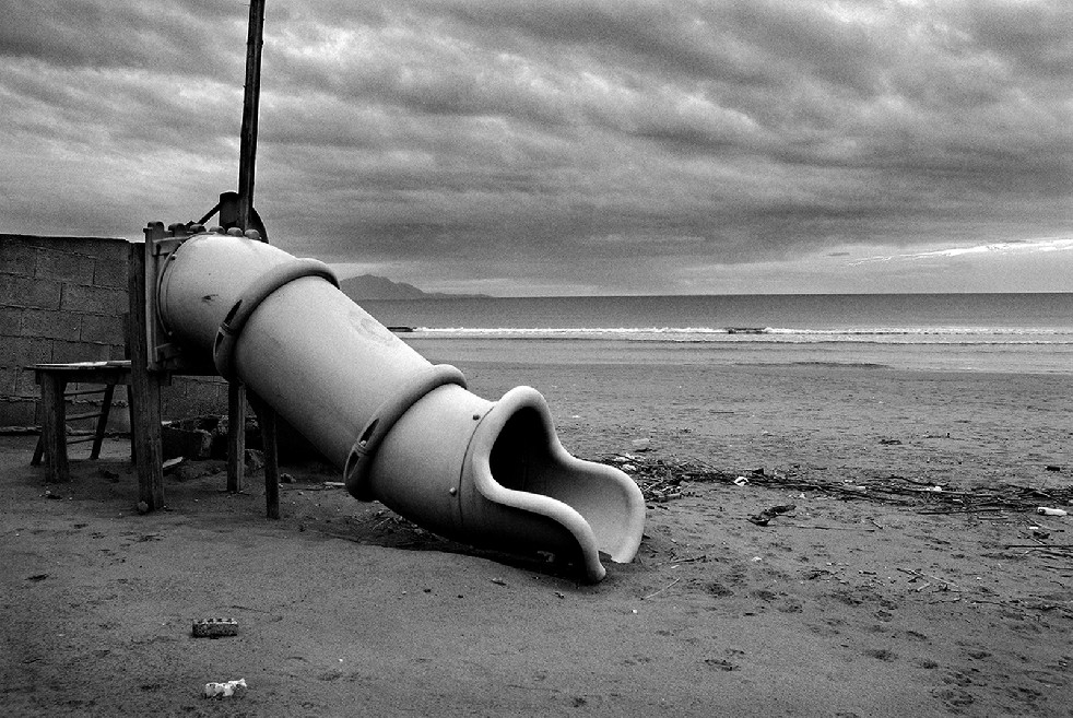 New Wild Sea 