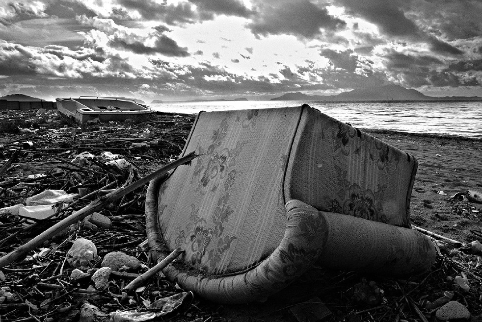 New Wild Sea 