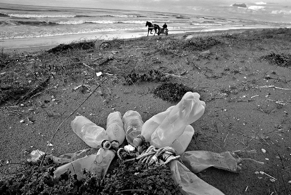 New Wild Sea 