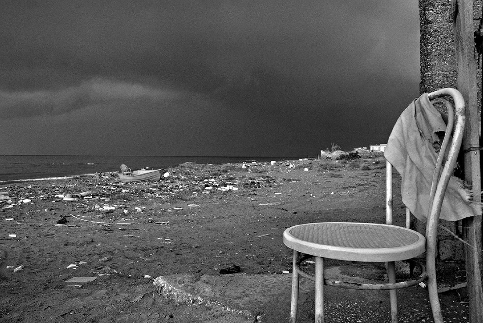 New Wild Sea 