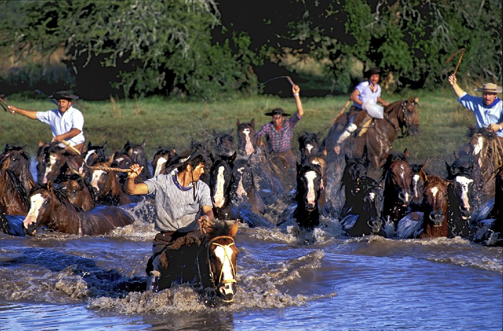 The Gauchos 