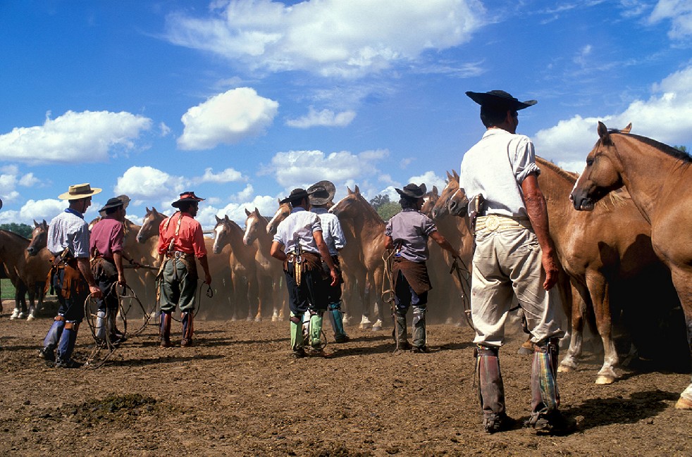 The Gauchos 