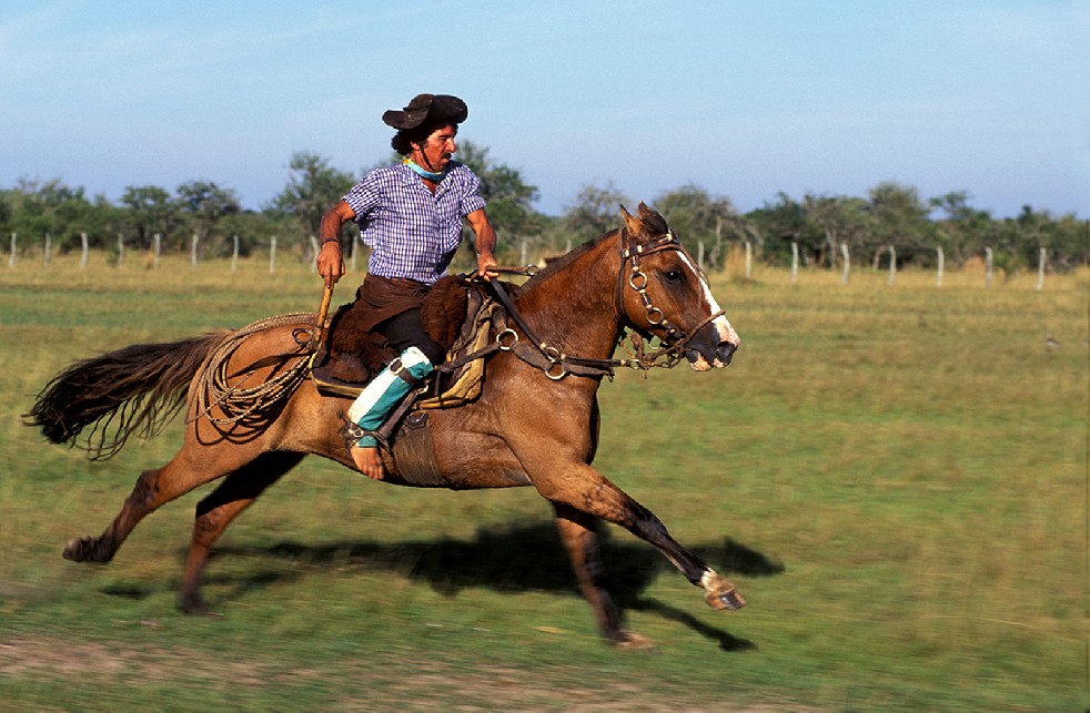 The Gauchos 