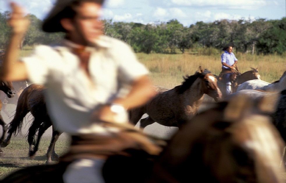 The Gauchos 