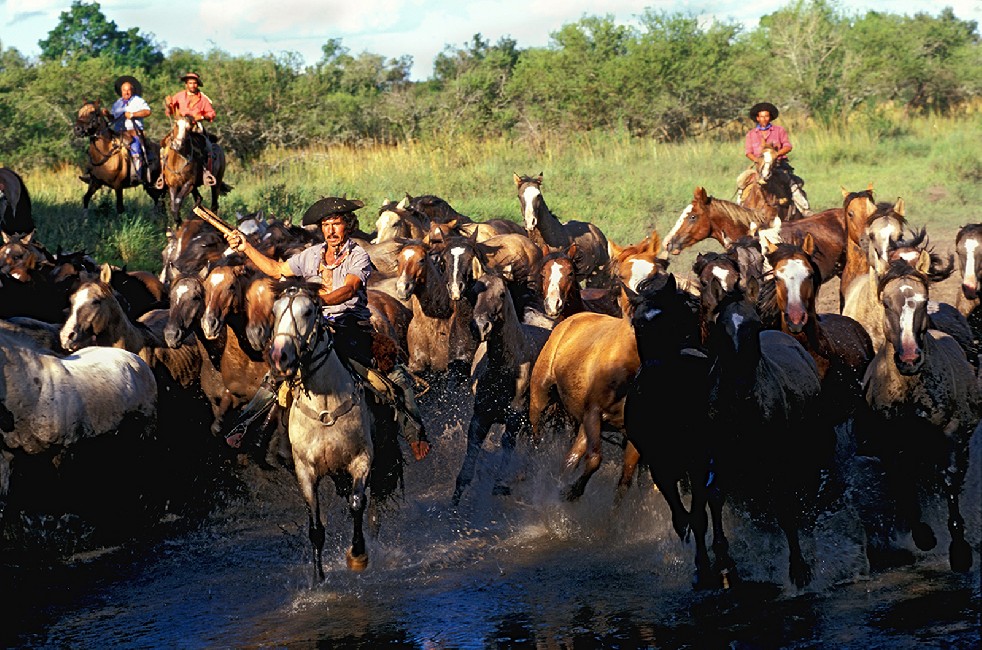The Gauchos 