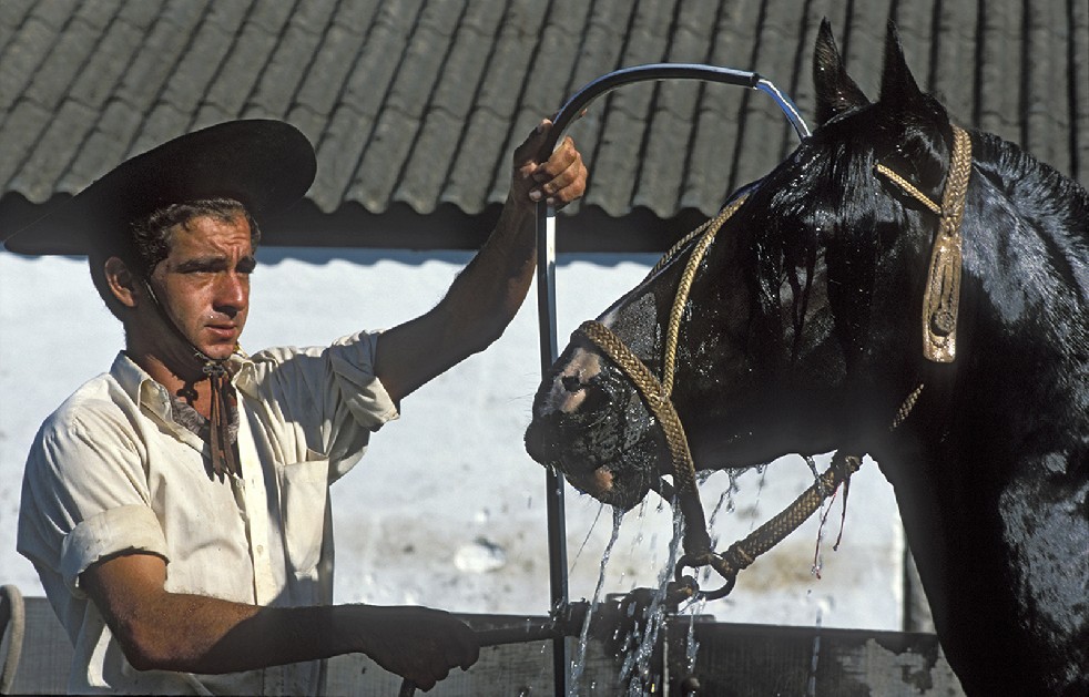 The Gauchos 