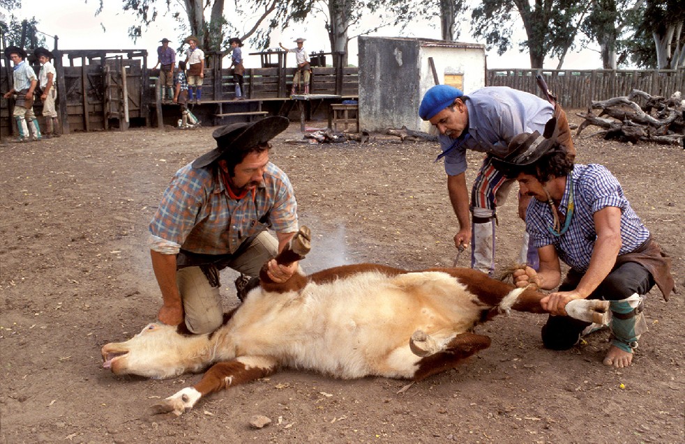 The Gauchos 