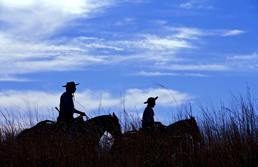 The Gauchos 