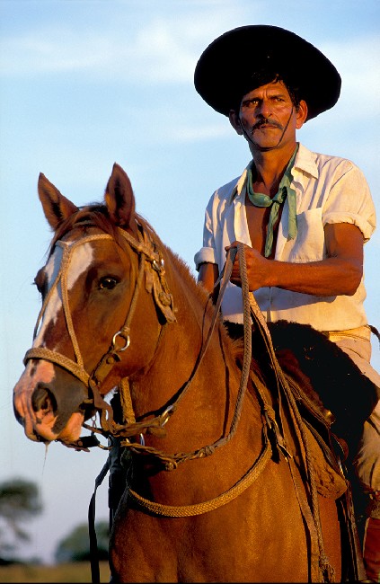 The Gauchos 