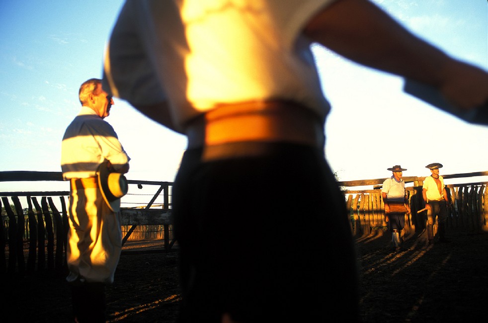 The Gauchos 
