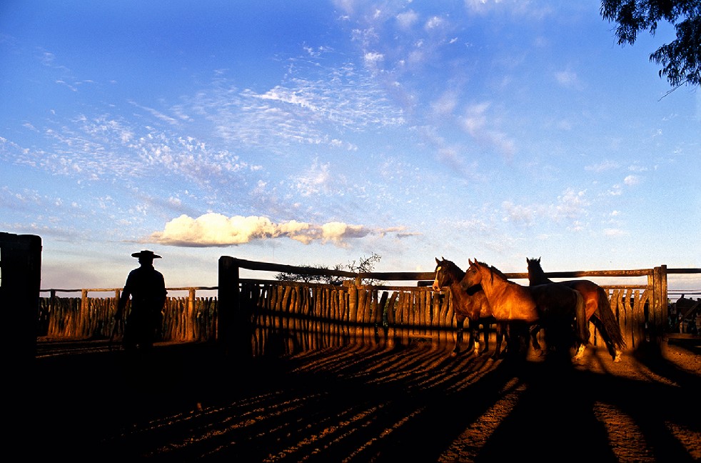 The Gauchos 