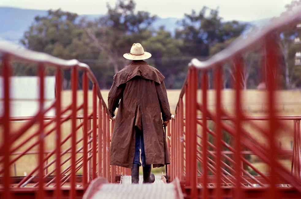 The Stockmen 