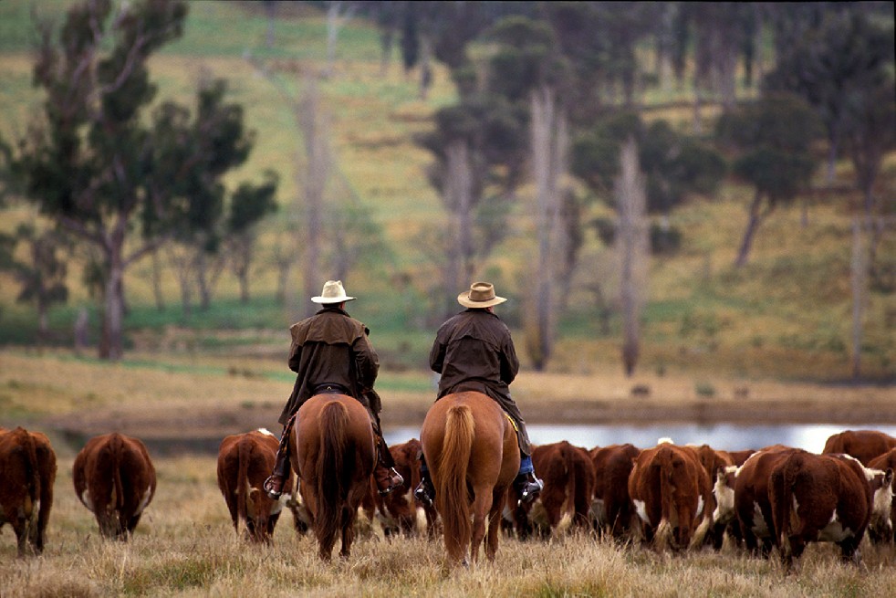 The Stockmen 