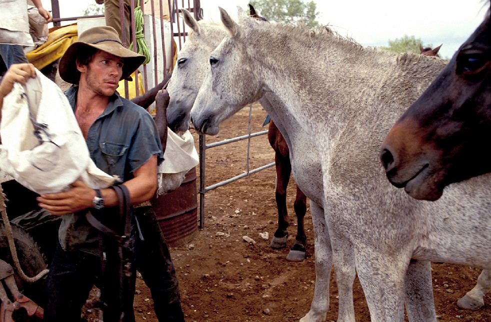 The Stockmen 