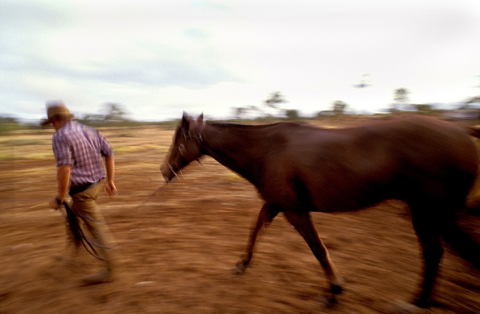 The Stockmen 