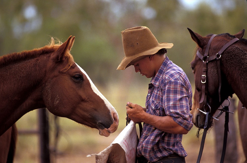 The Stockmen 