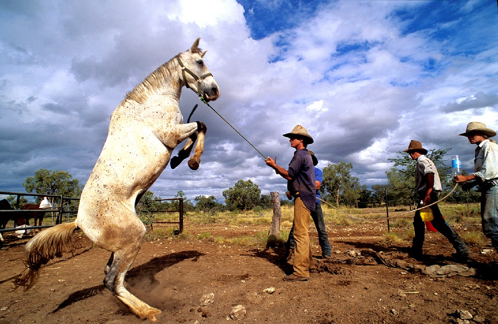 The Stockmen 